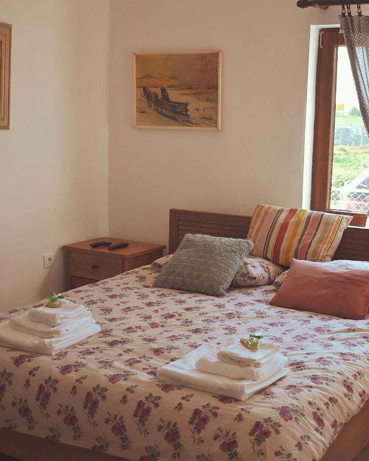 Appartement Amanet House Zasavica Extérieur photo