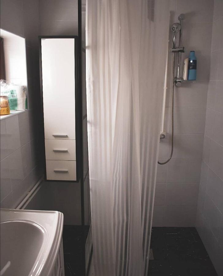 Appartement Amanet House Zasavica Extérieur photo