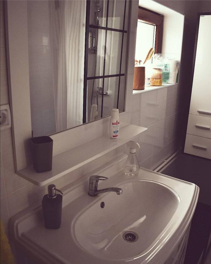 Appartement Amanet House Zasavica Extérieur photo