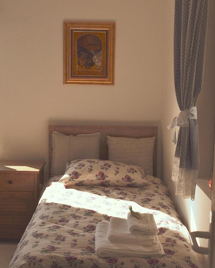 Appartement Amanet House Zasavica Extérieur photo