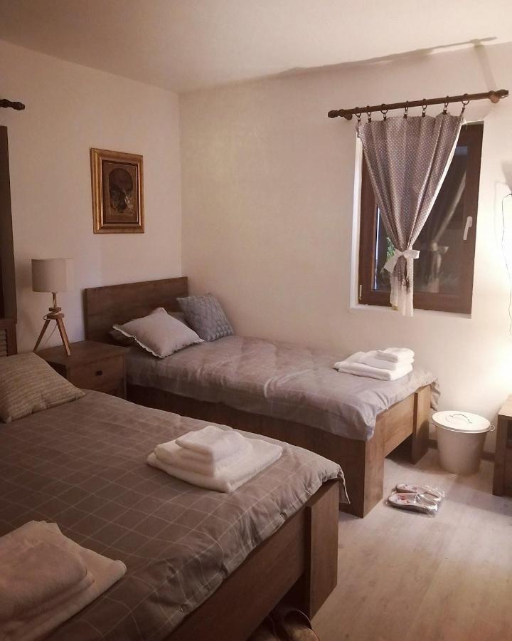 Appartement Amanet House Zasavica Extérieur photo