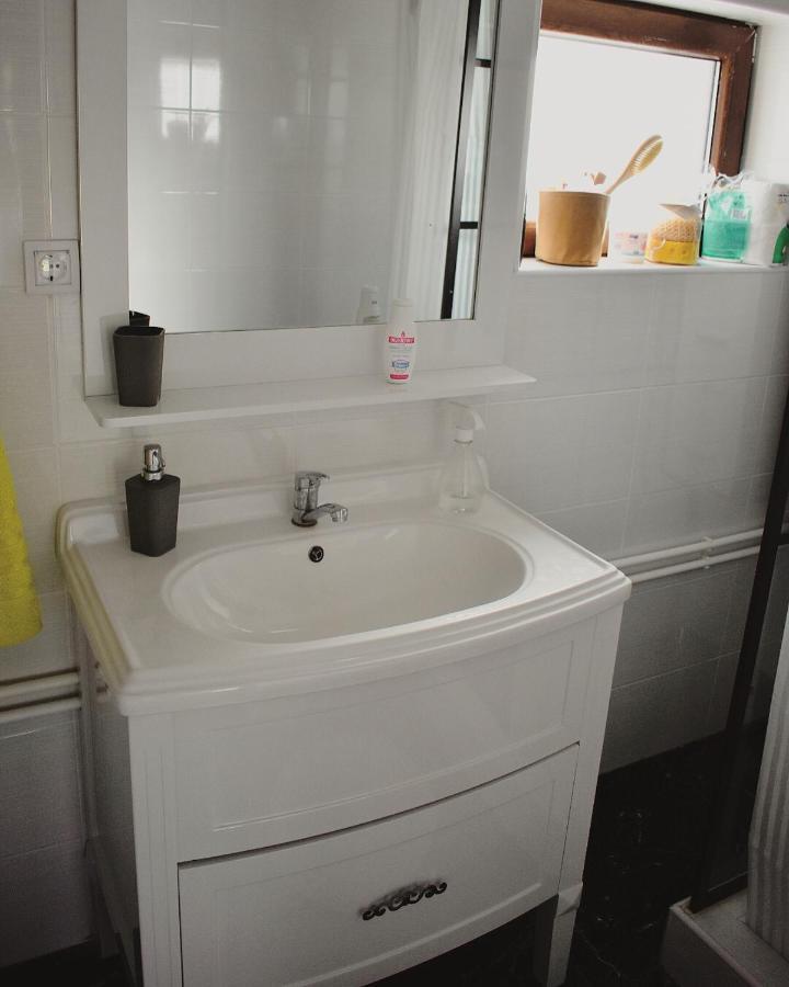 Appartement Amanet House Zasavica Extérieur photo