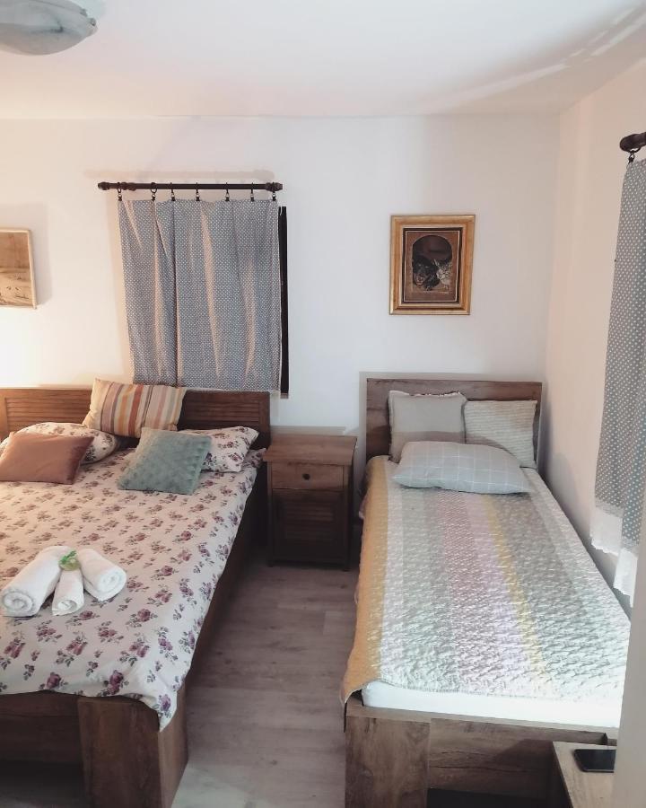 Appartement Amanet House Zasavica Extérieur photo